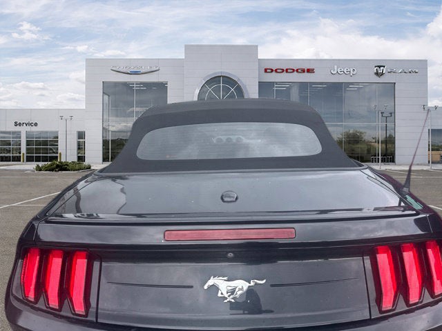 2019 Ford Mustang EcoBoost