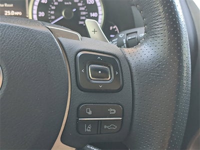 2019 Lexus NX 300 NX 300